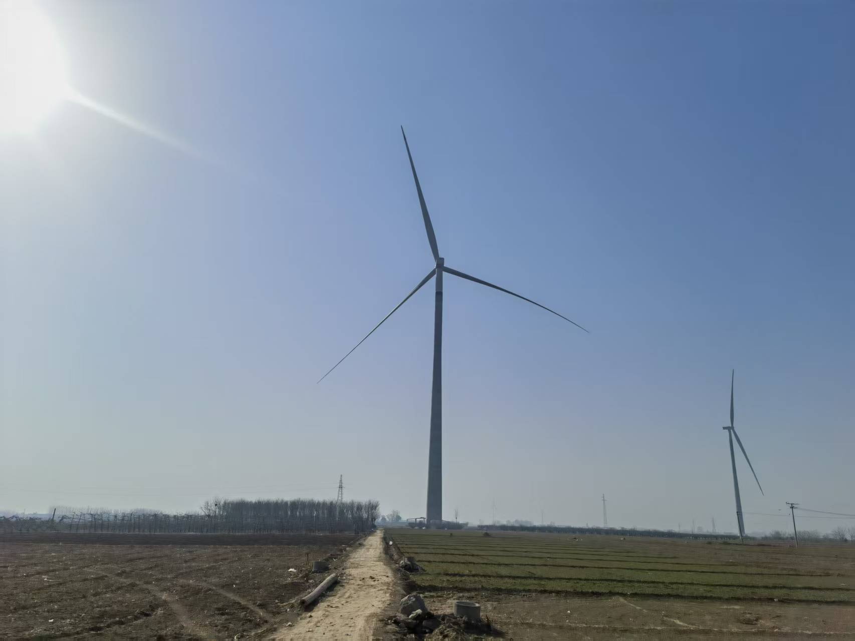 可再生能源扩张对大自然生态系统的影响令人担忧