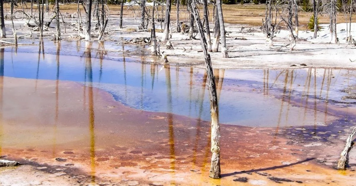 什么是黑雨，它对人类和地球构成哪些威胁？