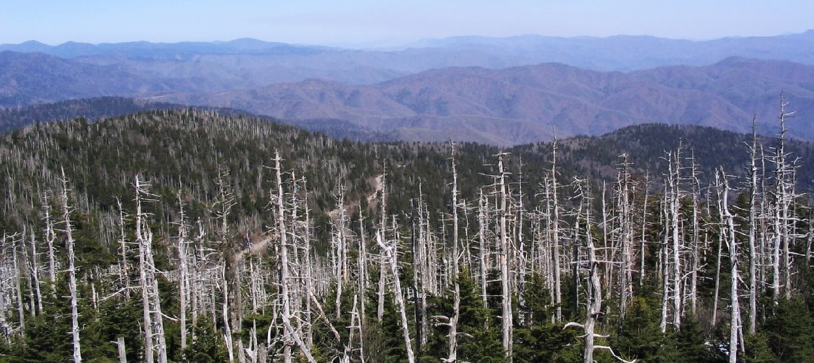 什么是黑雨，它对人类和地球构成哪些威胁？